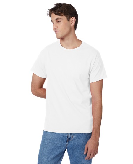 Hanes 5250T Men's Authentic-T T-Shirt